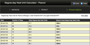 2016-07-28.Peanut.Degree day.Mangum.12.22.PM