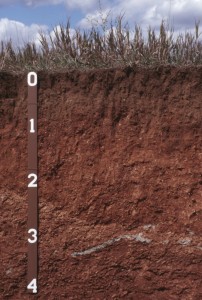 2016-08-16.Ag Blog.Soil_profile_in_pit3_1024