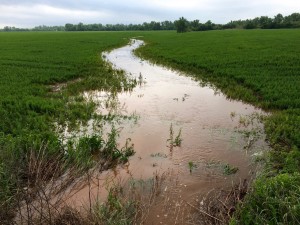 2015 05 06.Alfalfa field waterway
