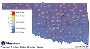 2016-12-18.cattlecomfort.day2_min