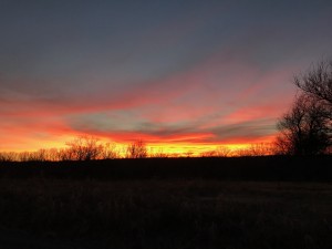 2017-02-02.Ag Blog.sunset