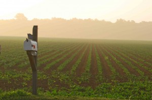 morning-mist-wallpaper-c2017-08-08.AgBlog.Inversion Dispersion.Morning Mist Soybean